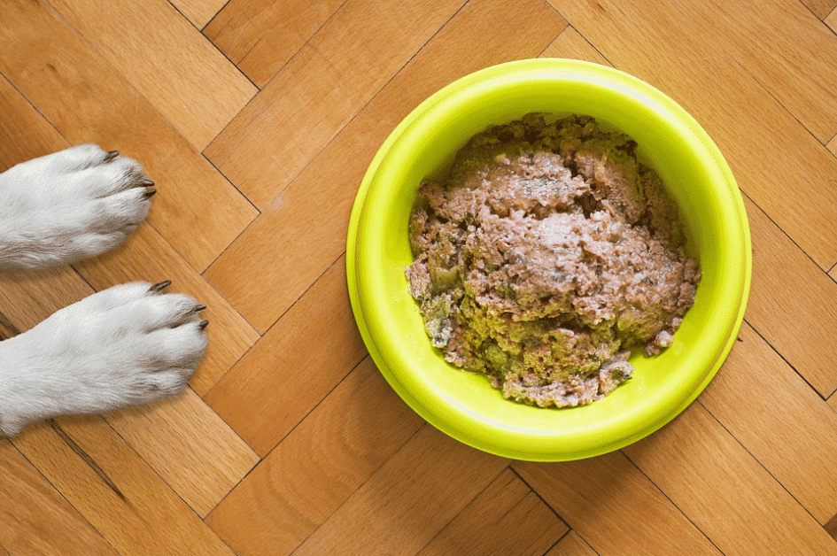 9 Easy Home Made Crockpot Dog Food Recipes | The Pets People